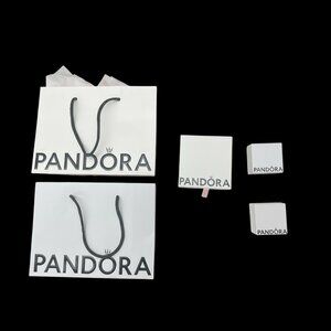 Pandora Bags and Boxes (Bracelet Box and Two Charm Boxes)